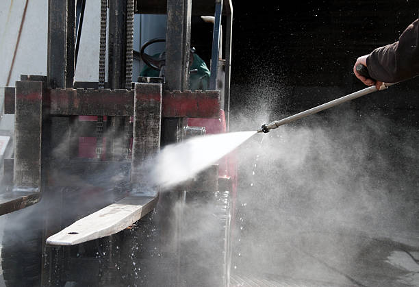 Best Driveway Pressure Washing  in Rosenhayn, NJ